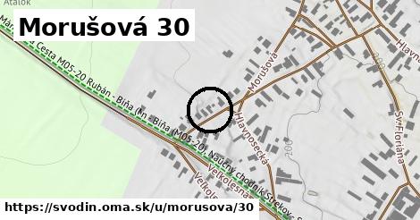 Morušová 30, Svodín