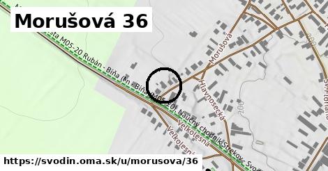 Morušová 36, Svodín