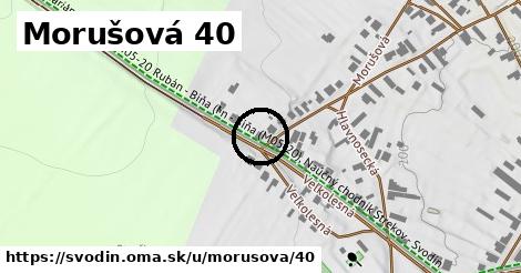 Morušová 40, Svodín