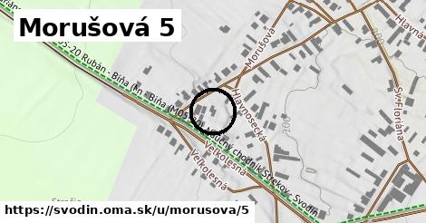 Morušová 5, Svodín