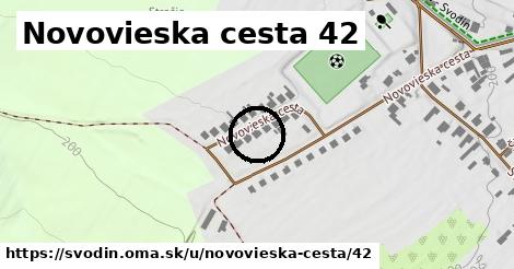 Novovieska cesta 42, Svodín