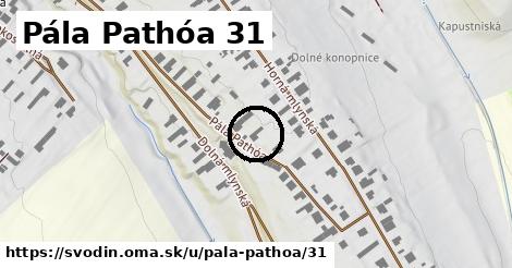 Pála Pathóa 31, Svodín