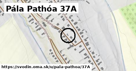 Pála Pathóa 37A, Svodín