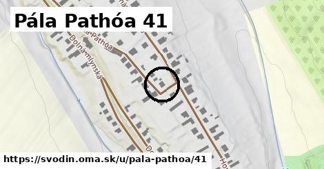 Pála Pathóa 41, Svodín