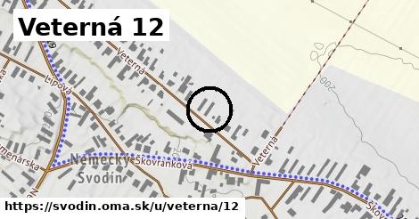 Veterná 12, Svodín