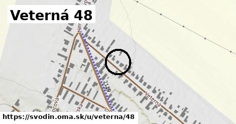 Veterná 48, Svodín