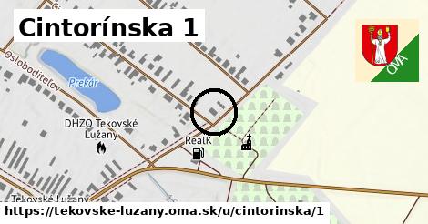 Cintorínska 1, Tekovské Lužany