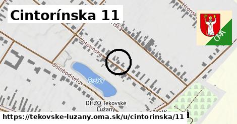 Cintorínska 11, Tekovské Lužany