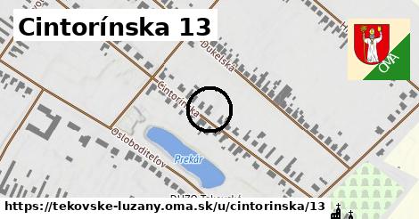 Cintorínska 13, Tekovské Lužany