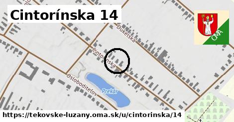 Cintorínska 14, Tekovské Lužany