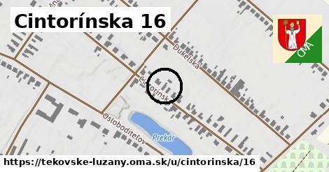 Cintorínska 16, Tekovské Lužany