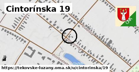 Cintorínska 19, Tekovské Lužany