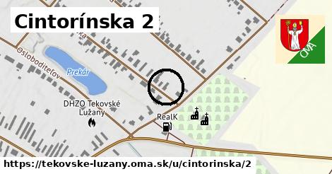 Cintorínska 2, Tekovské Lužany