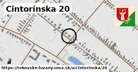 Cintorínska 20, Tekovské Lužany