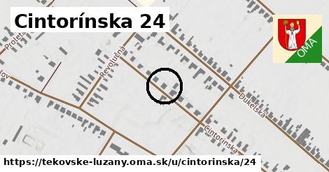 Cintorínska 24, Tekovské Lužany