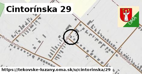 Cintorínska 29, Tekovské Lužany