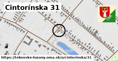 Cintorínska 31, Tekovské Lužany
