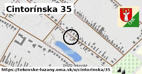 Cintorínska 35, Tekovské Lužany