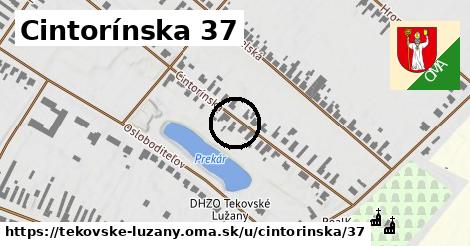 Cintorínska 37, Tekovské Lužany