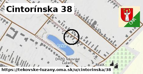 Cintorínska 38, Tekovské Lužany