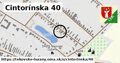 Cintorínska 40, Tekovské Lužany