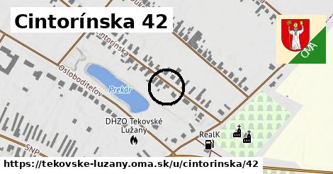 Cintorínska 42, Tekovské Lužany