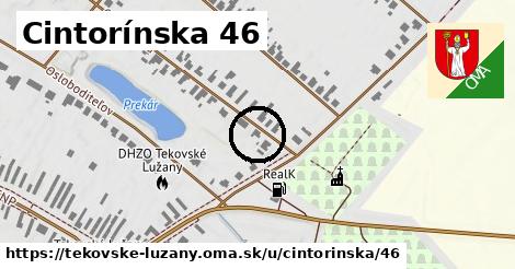 Cintorínska 46, Tekovské Lužany