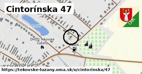 Cintorínska 47, Tekovské Lužany