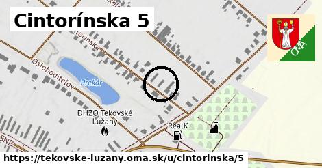 Cintorínska 5, Tekovské Lužany