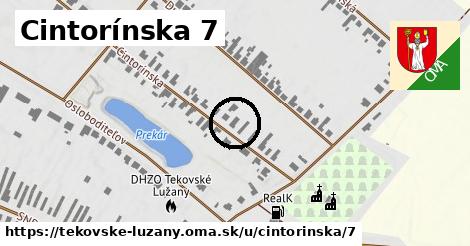 Cintorínska 7, Tekovské Lužany