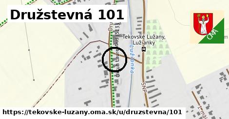 Družstevná 101, Tekovské Lužany