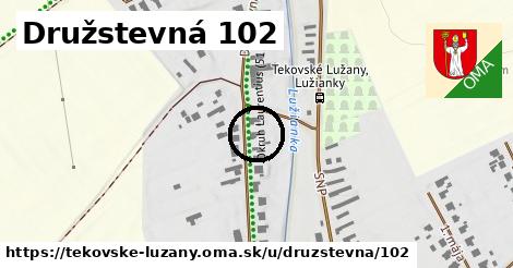 Družstevná 102, Tekovské Lužany