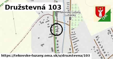 Družstevná 103, Tekovské Lužany