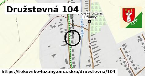 Družstevná 104, Tekovské Lužany