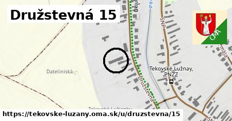 Družstevná 15, Tekovské Lužany