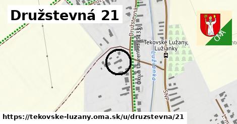 Družstevná 21, Tekovské Lužany