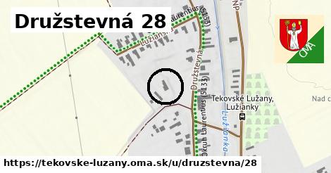 Družstevná 28, Tekovské Lužany