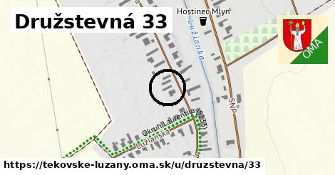 Družstevná 33, Tekovské Lužany