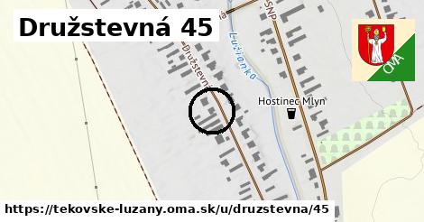 Družstevná 45, Tekovské Lužany