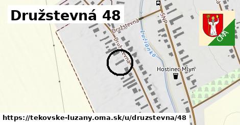 Družstevná 48, Tekovské Lužany