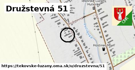 Družstevná 51, Tekovské Lužany