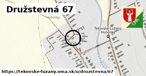 Družstevná 67, Tekovské Lužany