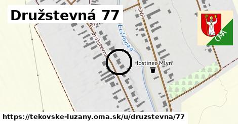 Družstevná 77, Tekovské Lužany