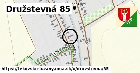 Družstevná 85, Tekovské Lužany