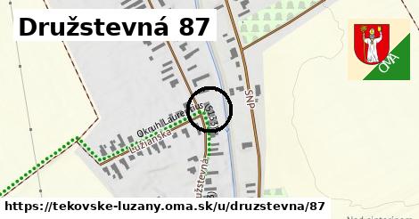 Družstevná 87, Tekovské Lužany