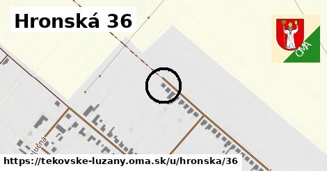 Hronská 36, Tekovské Lužany