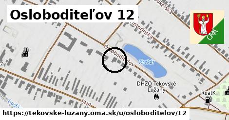 Osloboditeľov 12, Tekovské Lužany