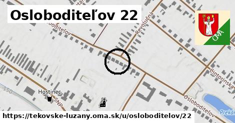 Osloboditeľov 22, Tekovské Lužany