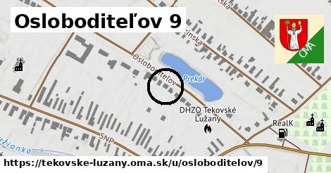 Osloboditeľov 9, Tekovské Lužany