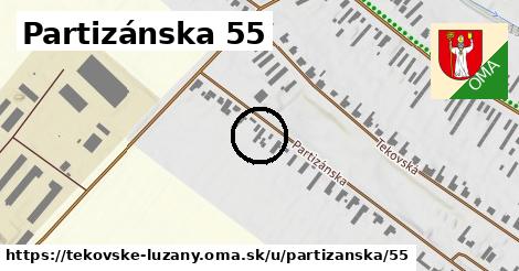 Partizánska 55, Tekovské Lužany